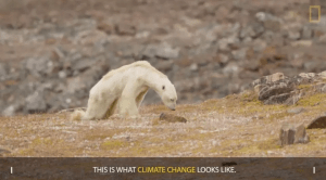 National Geographic