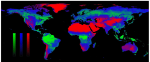 superficie forestal mundial